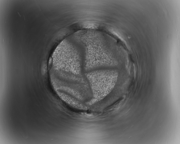 X0000088030407200706081505