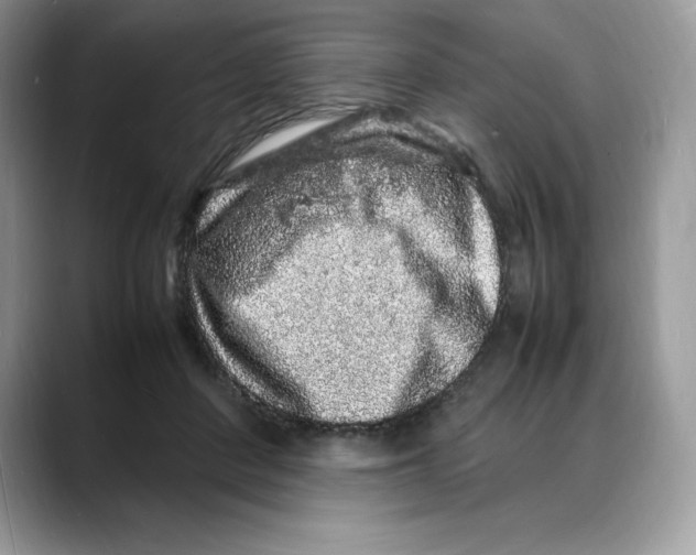 X0000088030408200706081505