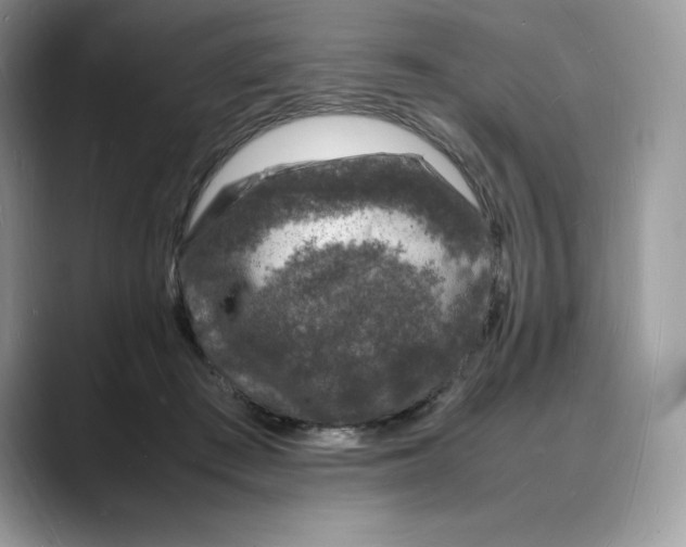 X0000088030409200706081505