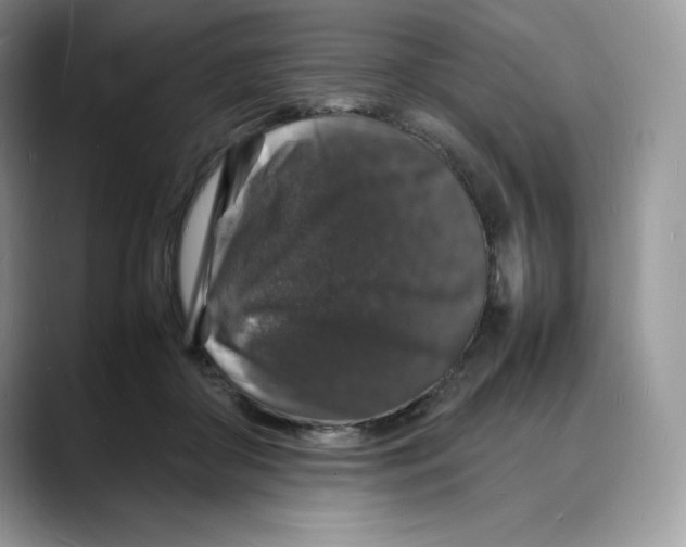 X0000088030410200706081505