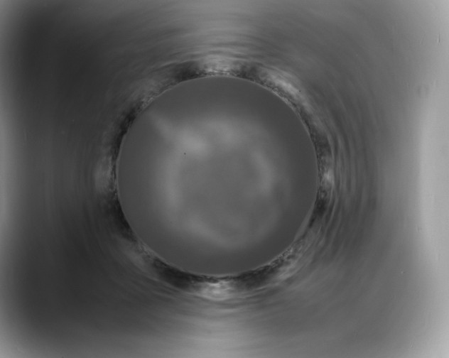X0000088030411200706081505