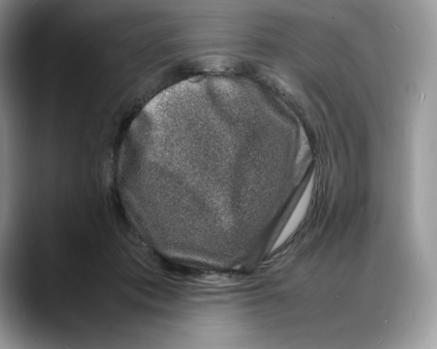 X0000088030413200706081505