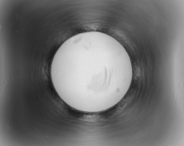 X0000088030414200706081505