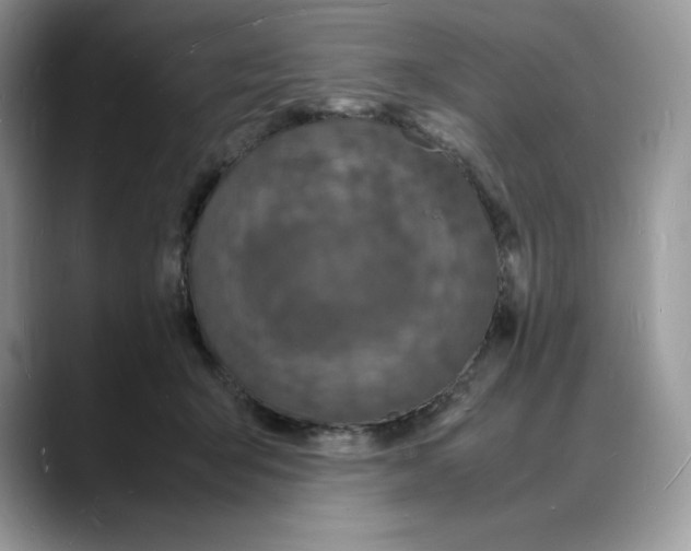 X0000088030415200706081505