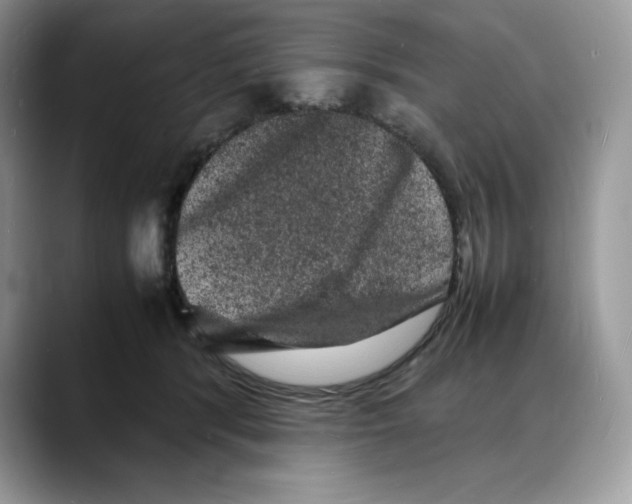X0000088030416200706081505