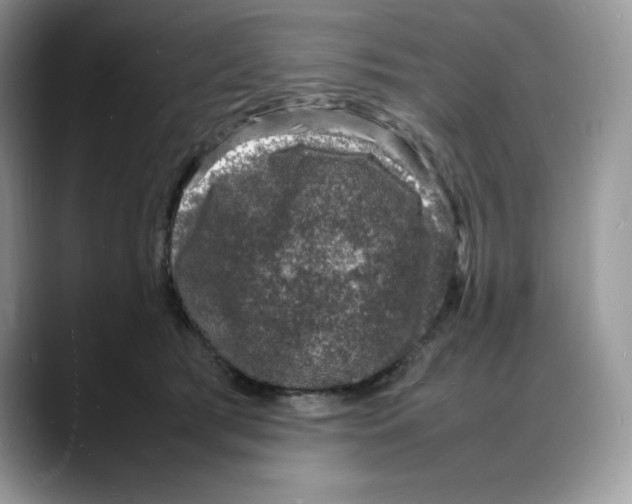 X0000088030417200706081505