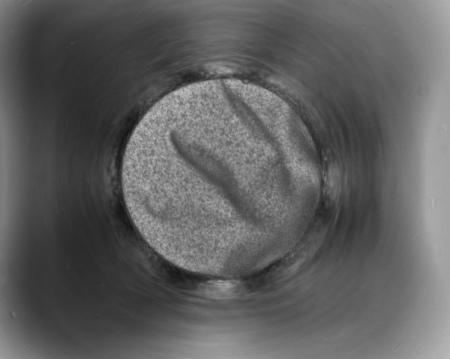 X0000088030418200706081505