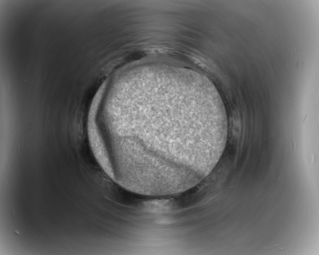 X0000088030422200706081505