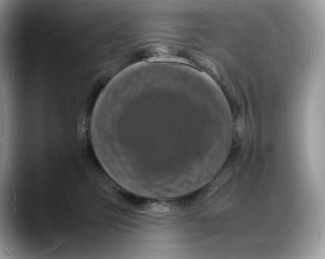 X0000088030423200706081505