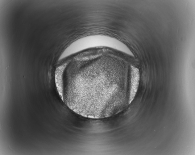 X0000088030424200706081505