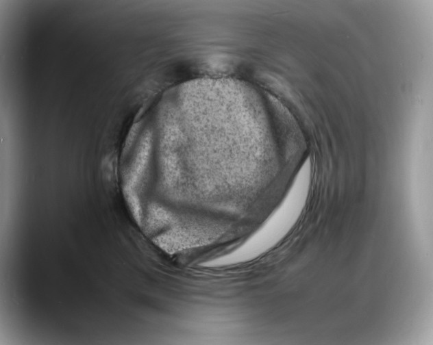 X0000088030425200706081505