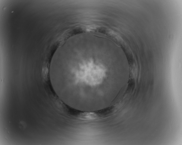 X0000088030427200706081505