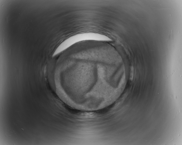X0000088030428200706081505