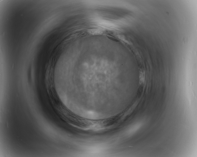 X0000088030431200706081505