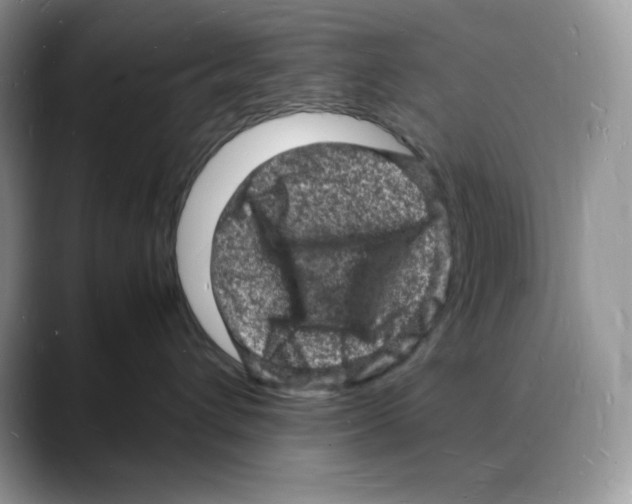 X0000088030432200706081505