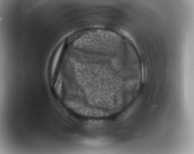 X0000088030435200706081504