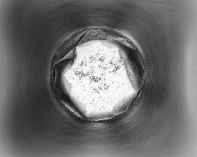 X0000088030437200706081504
