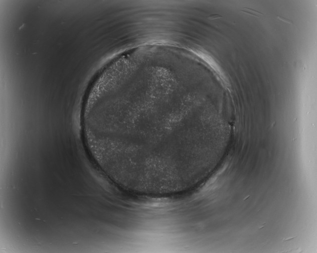 X0000088030438200706081504