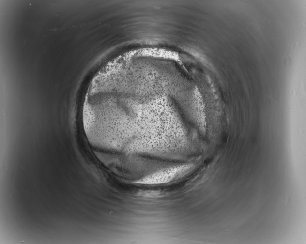 X0000088030440200706081504