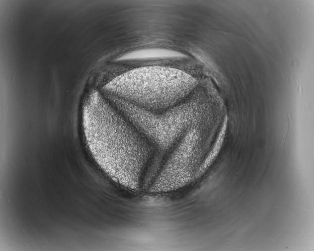 X0000088030442200706081505