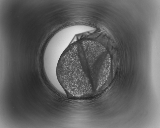 X0000088030444200706081505