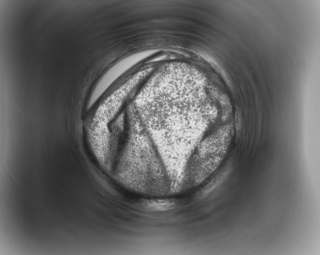 X0000088030445200706081505