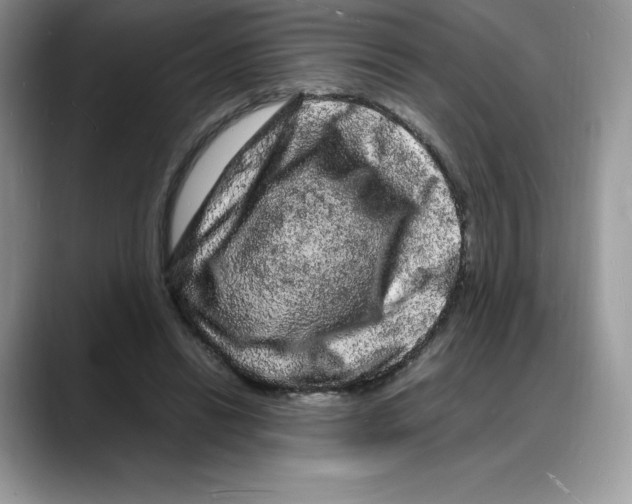 X0000088030446200706081505