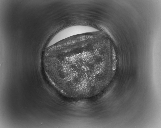 X0000088030447200706081505