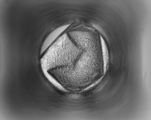 X0000088030449200706081505