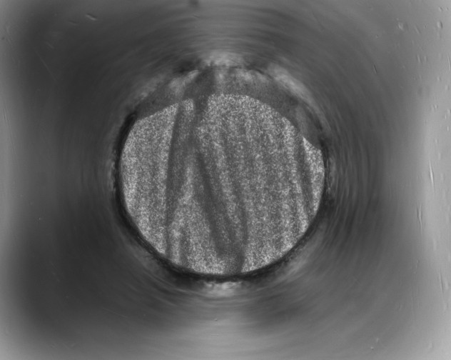 X0000088030450200706081505