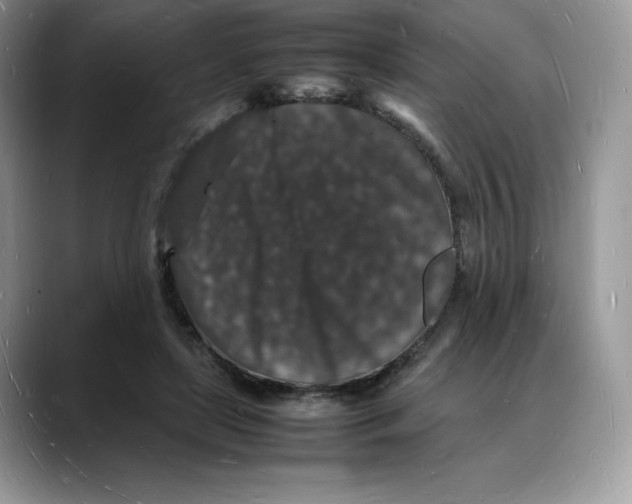 X0000088030451200706081505