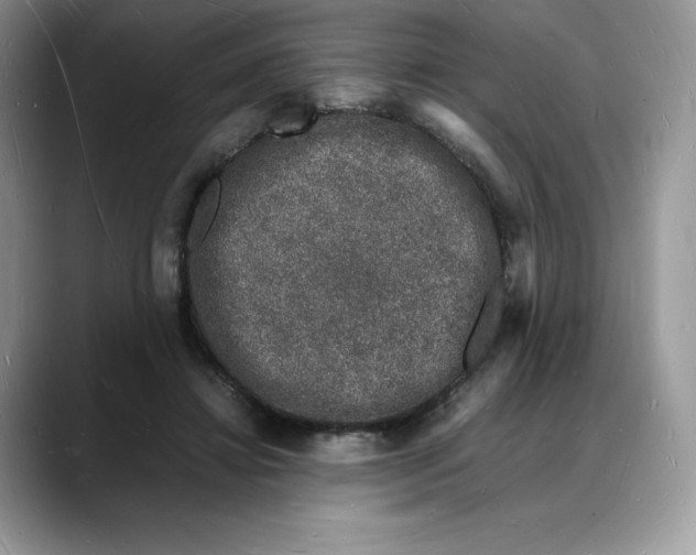 X0000088030452200706081505