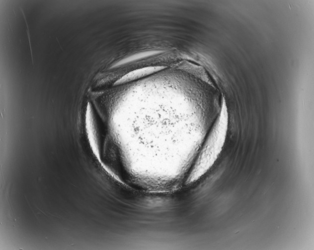 X0000088030453200706081505
