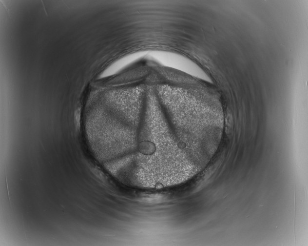 X0000088030454200706081505