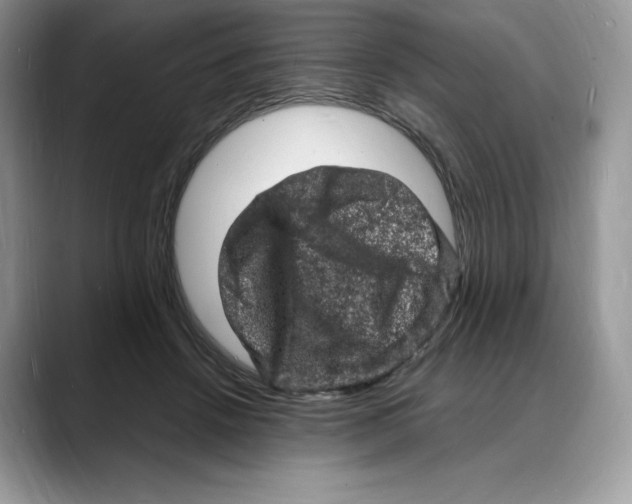 X0000088030456200706081505