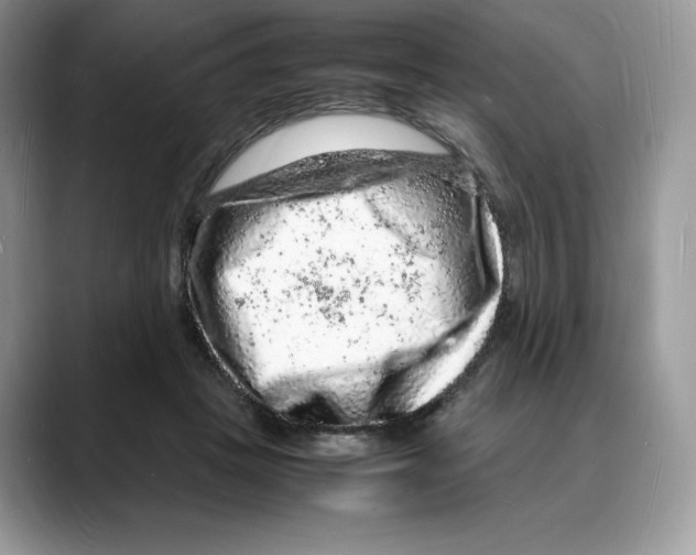 X0000088030457200706081505
