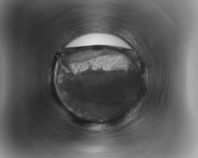 X0000088030458200706081505
