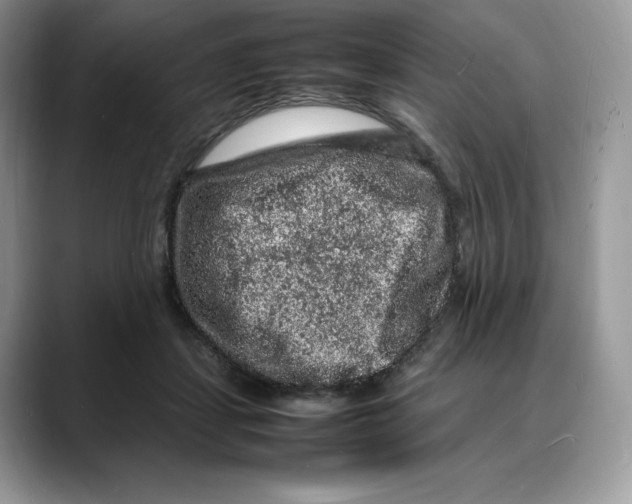 X0000088030459200706081505