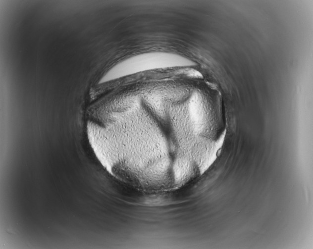 X0000088030461200706081505