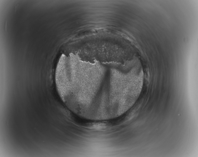 X0000088030462200706081505
