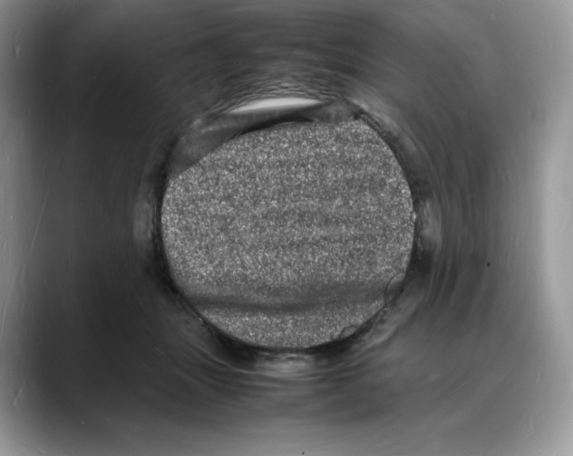 X0000088030463200706081505