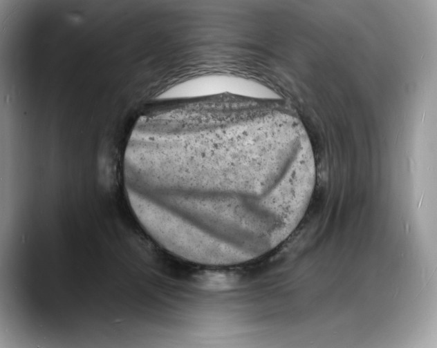 X0000088030464200706081505