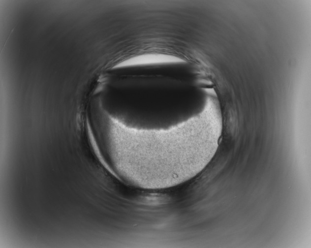 X0000088030467200706081505