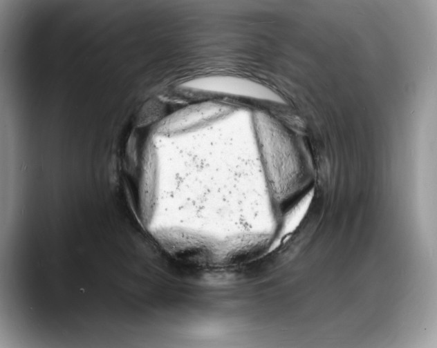 X0000088030470200706081505