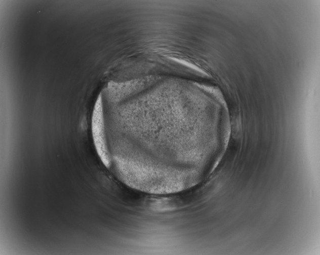 X0000088030472200706081505