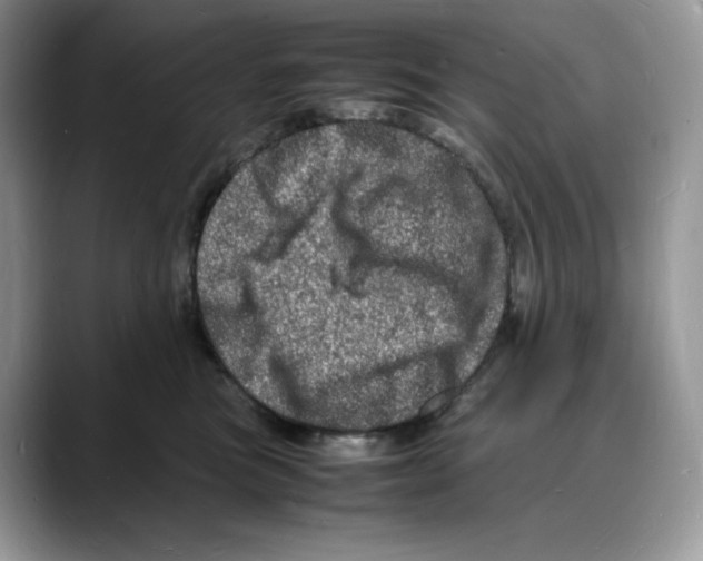 X0000088030473200706081505