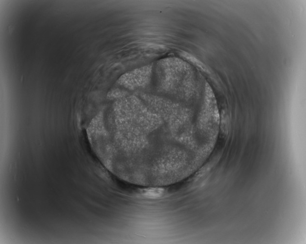 X0000088030474200706081505
