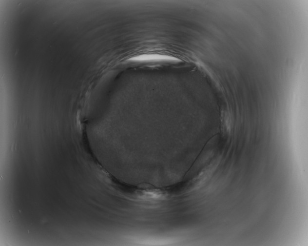 X0000088030475200706081505