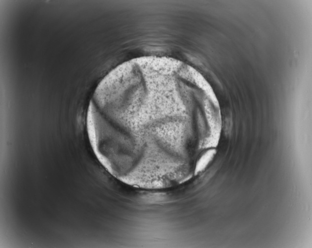 X0000088030476200706081505