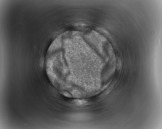 X0000088030477200706081505